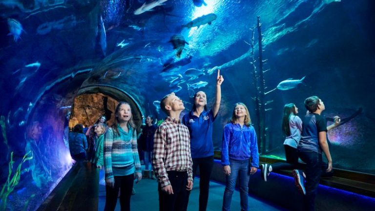 Wonders of Wildlife - River Monsters Tunnel - Education School Group